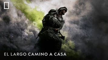 El largo camino a casa