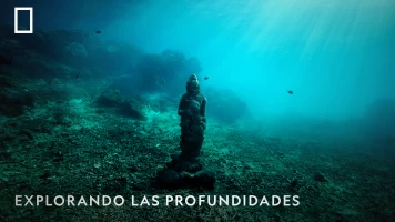 Explorando Las Profundidades