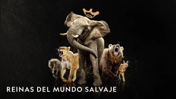Reinas del mundo salvaje