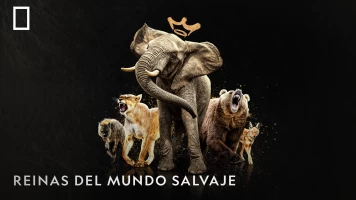 Reinas del mundo salvaje