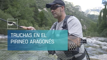 Truchas en el Pirinéo aragonés