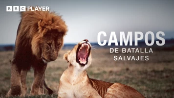 Campos de batalla salvajes