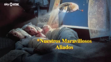 Batteries Not Included