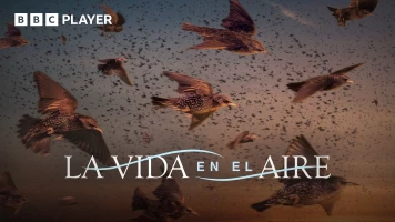 La vida en el aire