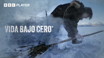 Vida bajo cero