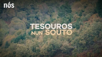 Tesouros nun souto dos Ancares