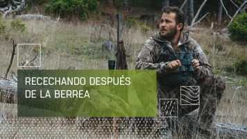 Recechando después de la berrea