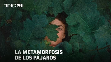 La metamorfosis de los pájaros