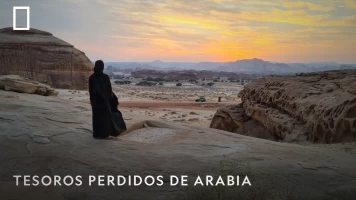 Tesoros perdidos de Arabia