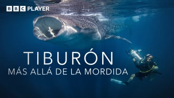 Tiburón: más allá de la mordida