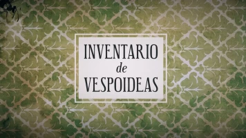 Inventario de vespoideas
