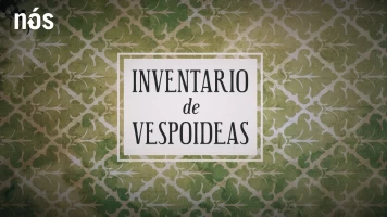Inventario de vespoideas