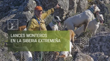 Lances monteros en La Siberia extremeña