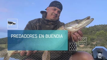 Predadores en Buendía