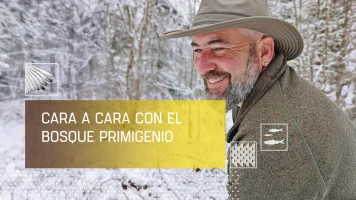 Cara a cara con el bosque primigenio