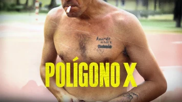 Polígono X