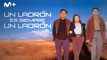 Un ladrón siempre es un ladrón