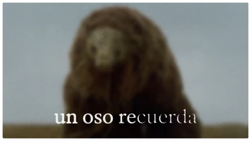 Un oso recuerda