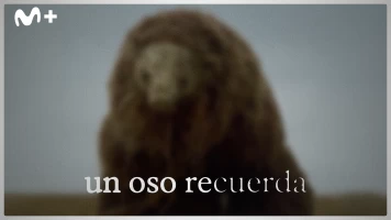 Un oso recuerda