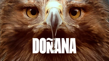 Doñana