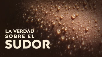 La verdad sobre el sudor