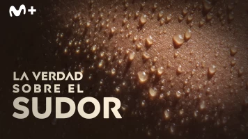 La verdad sobre el sudor