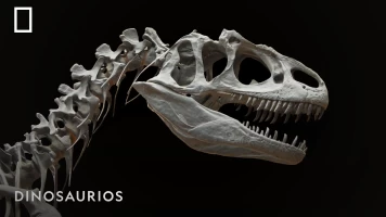 Dinosaurios