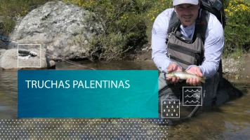 Truchas palentinas