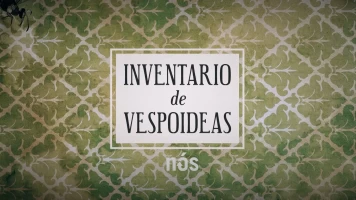 Inventario de vespoideas