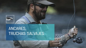 Ancares, truchas salvajes