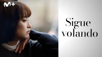 Sigue volando