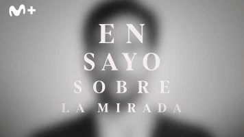 Ensayo sobre la mirada