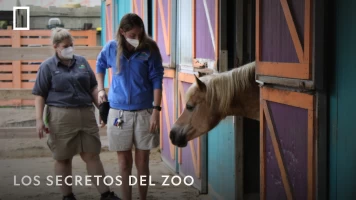 Los secretos del zoo