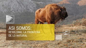 Así somos: Rewilding: La frontera de lo natural