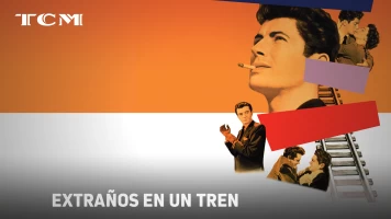 Extraños en un tren