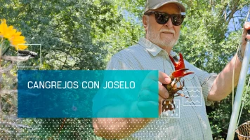 Cangrejos con Joselo