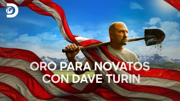 Oro para novatos con Dave Turin