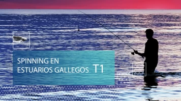 Spinning en estuarios gallegos