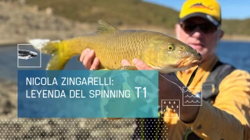 Nicola Zingarelli: Leyenda del spinning