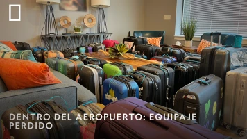 Dentro del aeropuerto: equipaje perdido