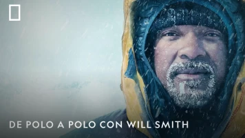 De polo a polo con Will Smith