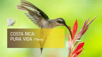 Costa Rica: Pura Vida 1