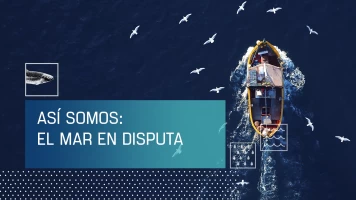 Así somos: El mar en disputa