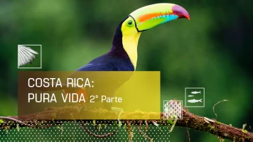 Costa Rica: Pura Vida 2