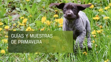 Guias y muestras de primavera