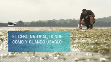 El cebo natural: donde, cómo y cuándo usarlo