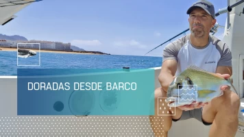 Doradas desde barco
