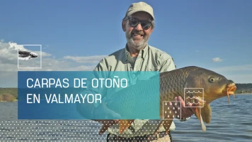 Carpas de otoño en Valmayor