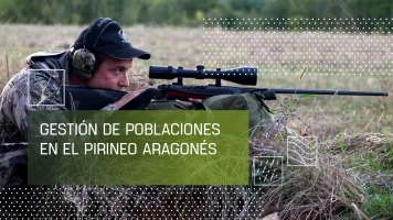 Gestión de poblaciones en el pirineo aragonés