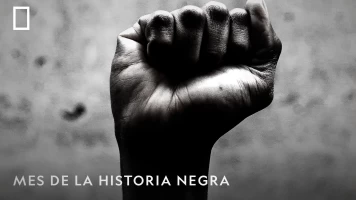 Mes de la Historia Negra